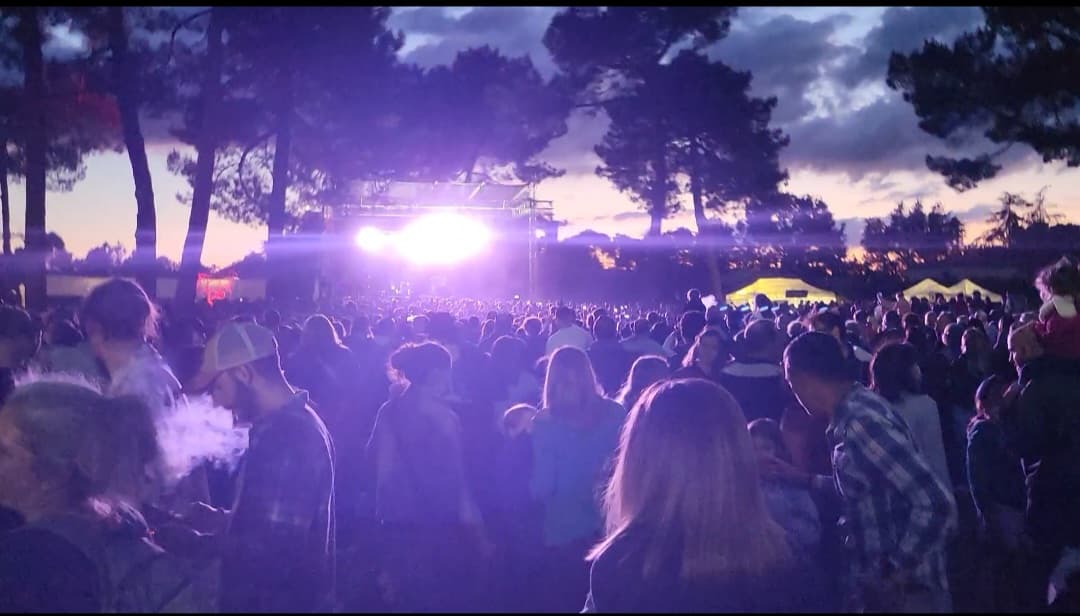 Foule d’un festival en extérieur au crépuscule, scène allumée entre les pins